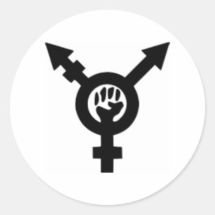 Feminist Symbol Classic Round Sticker