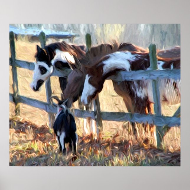 Fence Friends Poster (Vorne)