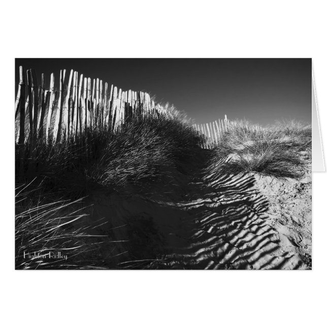 Fencing in Dunes Blanc notelet / card (Vorderseite (Horizontal))