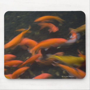 Feng Shui glauben, dass koi Fische gutes Glück Mousepad