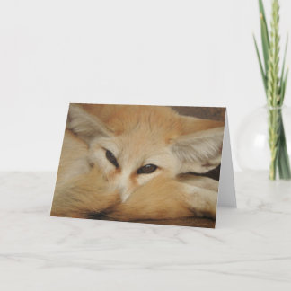 Fennec Fox-Gruß-Karte Karte