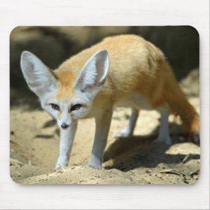 Fennec fox mousepad