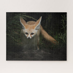 Fennec Fox Puzzle