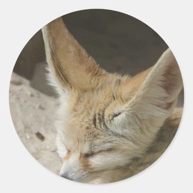Fennec Fox Sticker (Vorderseite)