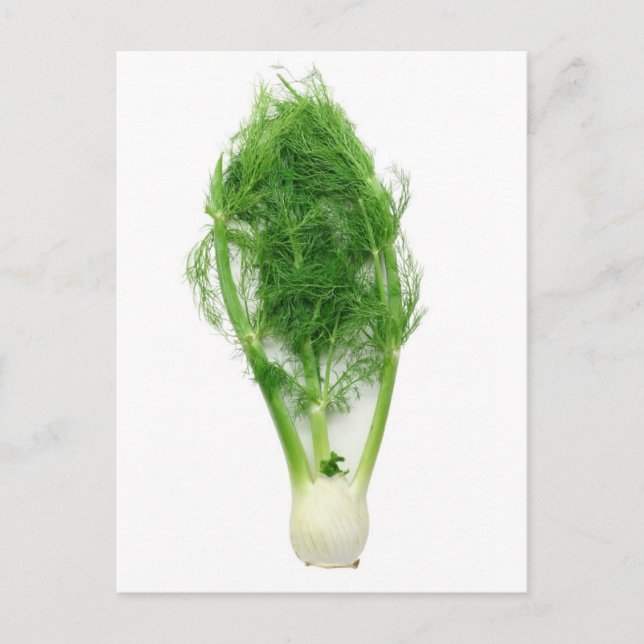 Fennel-Blatt und -Birne Postkarte (Vorderseite)