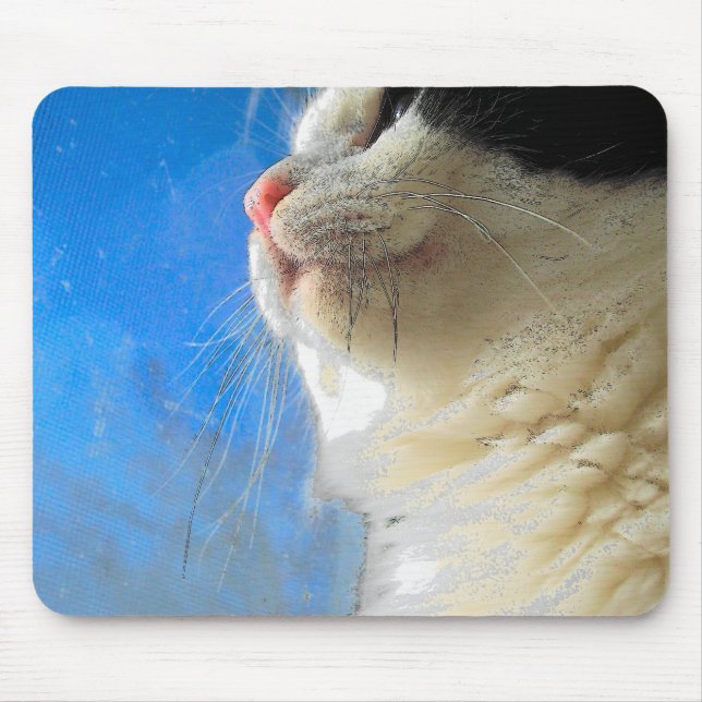 Fenster ausblenden mousepad (Vorne)