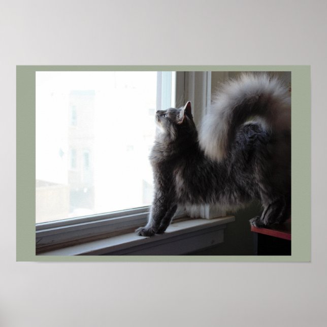 Fenster "Aussehen" Poster (Vorne)