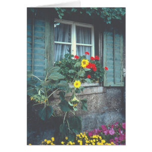 "Fenster, Blume und Fensterheber"