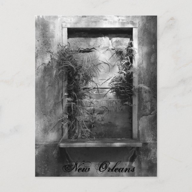 Fenster "Boarden" Postkarte (Vorderseite)