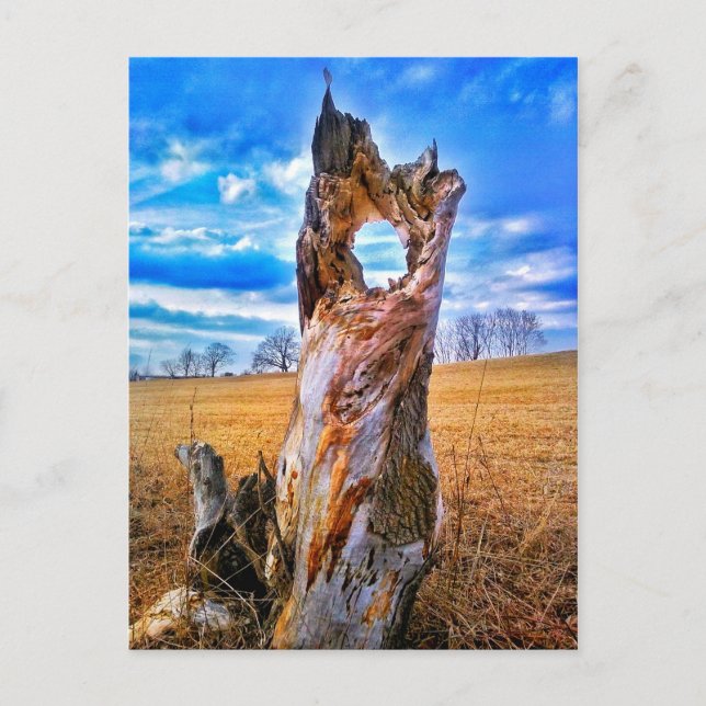 Fenster der Postkarte (Vorderseite)