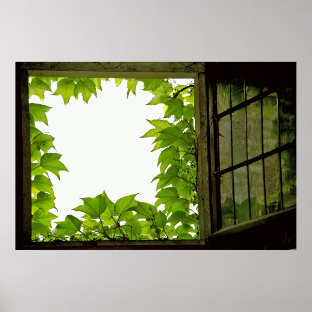 Fenster drucken poster (Vorne)