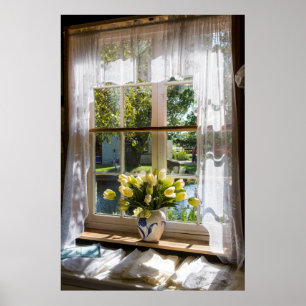 Fenster mit Spitzenvorhang und Tulpen Poster