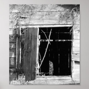 Fenster Poster