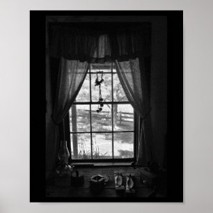 Fenster Poster