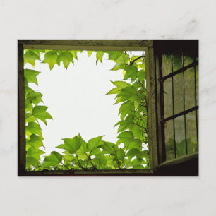 Fenster Postkarte