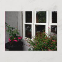 Fenster/Postkarte