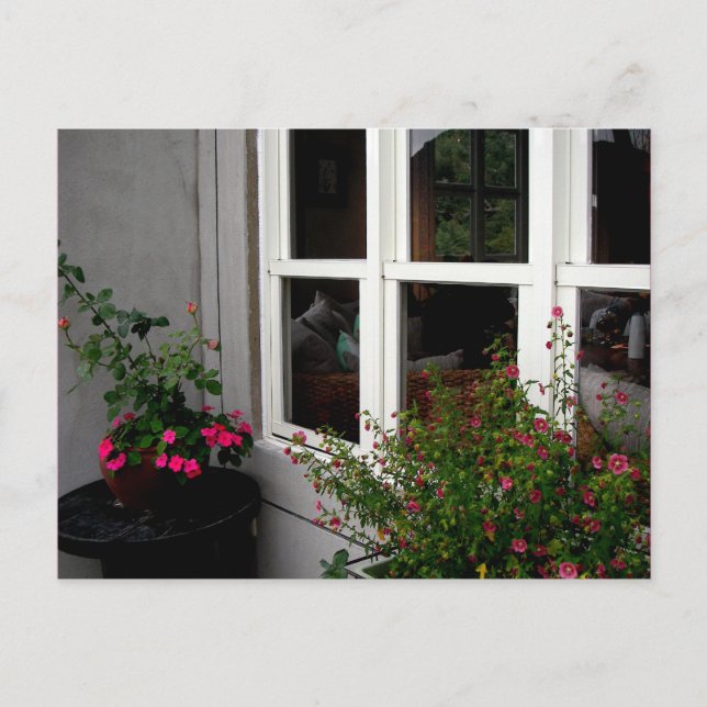 Fenster/Postkarte Postkarte (Vorderseite)