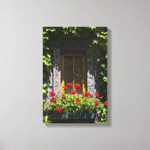 Fenster "Red Geranium Blume" Leinwanddruck