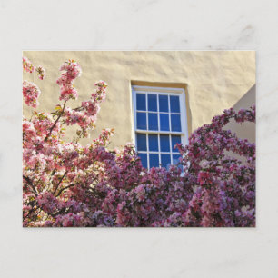 Fenster und Blüten Postkarte