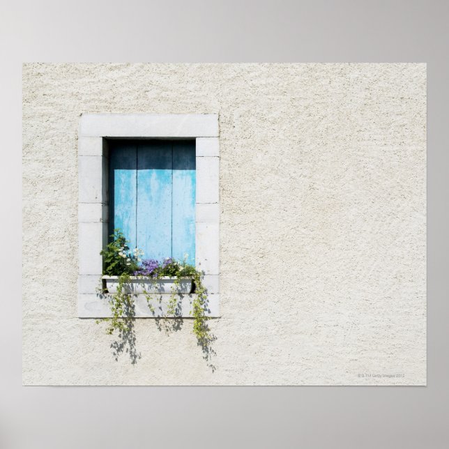 Fenster und Fensterbox mit Blume in schlichter Wan Poster (Vorne)