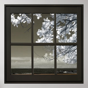Fenster "Weiße Blume blüht 24x24 Schwarze Imitate" Poster
