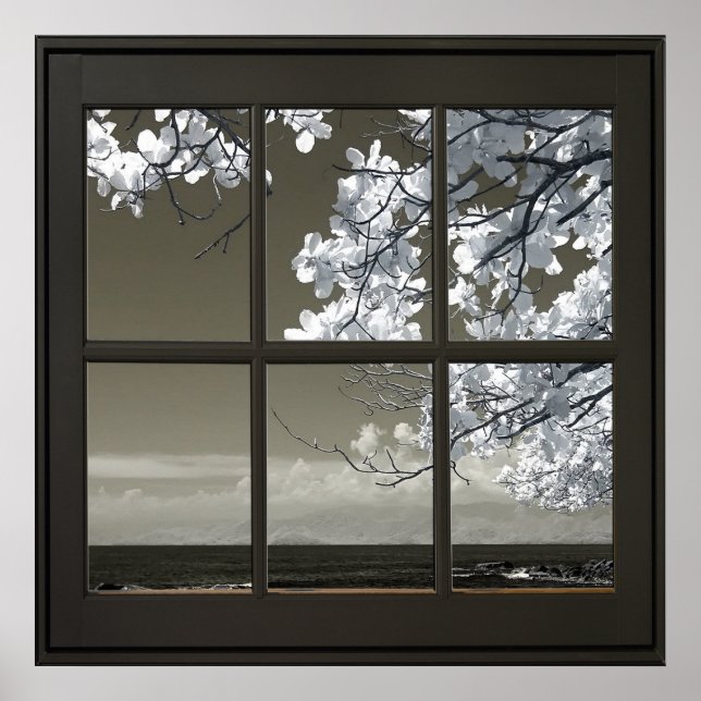 Fenster "Weiße Blume blüht 24x24 Schwarze Imitate" Poster (Vorne)
