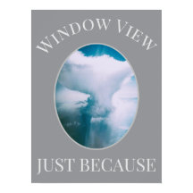                     Fensteransicht                