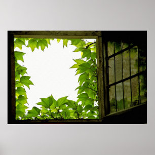 Fensterdruck Poster