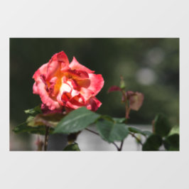 Fensterfolie - Die verwelkende Rose Fensteraufkleber