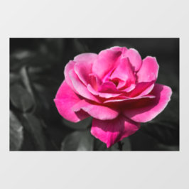 Fensterfolie - Eleganz der rosa Rose Fensteraufkleber