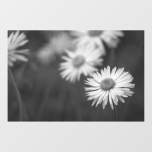 Fensterfolie - Gänseblümchen Blumen BW Fensteraufkleber