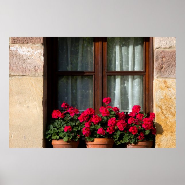 Fensterheber Blume im Dorf Poster (Vorne)