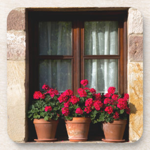 Fensterheber in Blume Getränkeuntersetzer