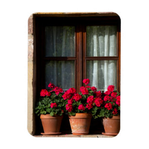 Fensterheber in Blume Magnet