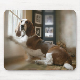 Fensterhund Mousepad