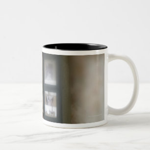 Fensterhund Zweifarbige Tasse