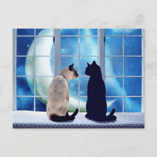 Fensterkatzen Postkarte