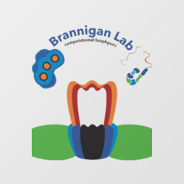 Fensterklammer Fensteraufkleber