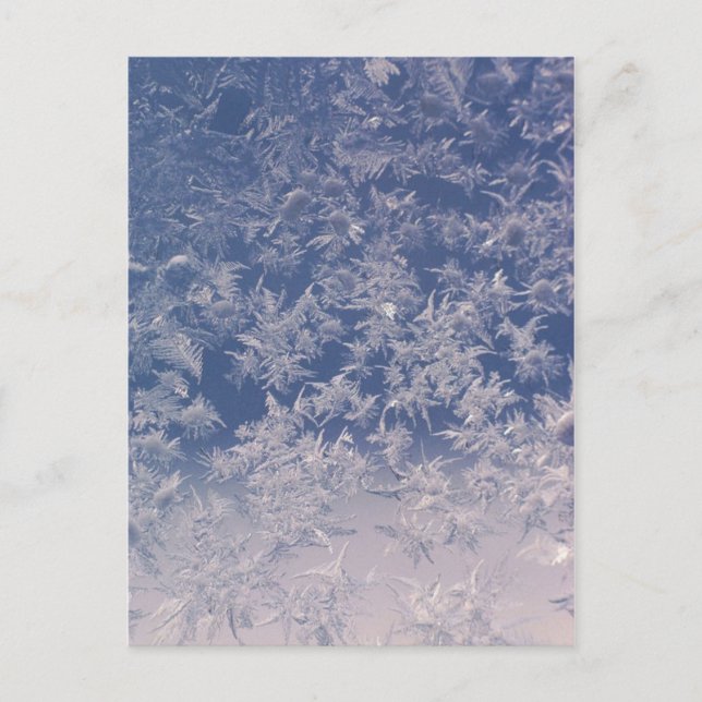 Fensterschneeflocken Postkarte (Vorderseite)