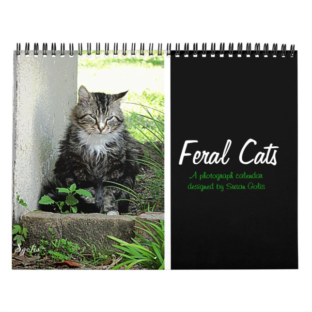 Feral Cat Fotokalender Kalender (Titelbild)
