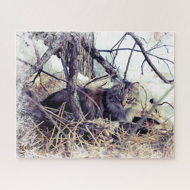Feral Cat im Winter Foto Kunst Puzzle (Horizontal)