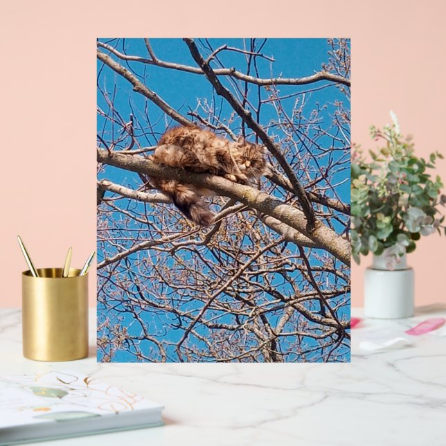 Feral Cat Lucy in Tree Cat Lover Acrylschild (Hochzeit)