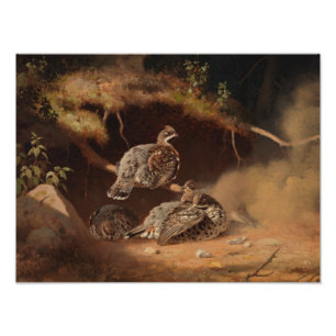 Ferdinand von Wright - Hazel Grouse Wallow Fotodruck