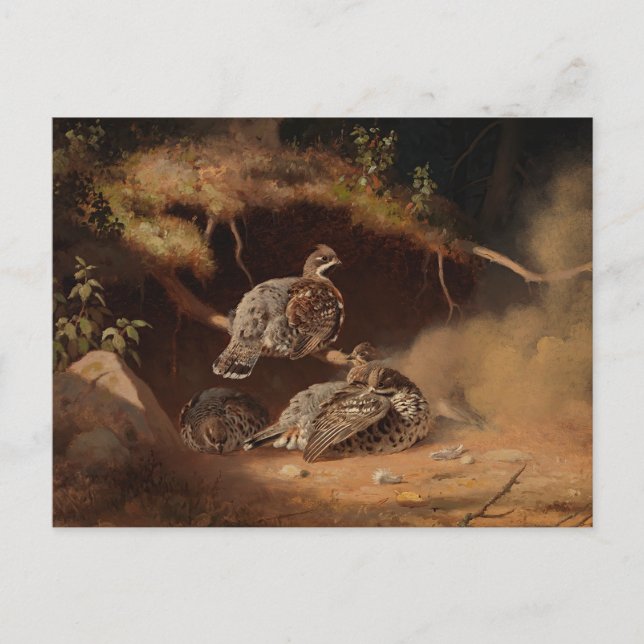 Ferdinand von Wright - Hazel Grouse Wallow Postkarte (Vorderseite)