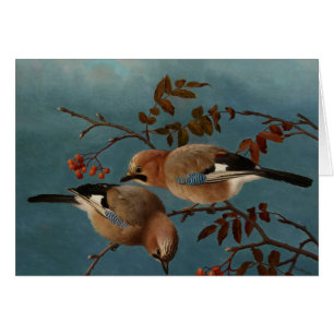 Ferdinand von Wright - Jay