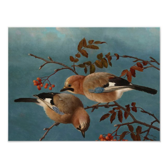 Ferdinand von Wright - Jay Fotodruck (Vorne)