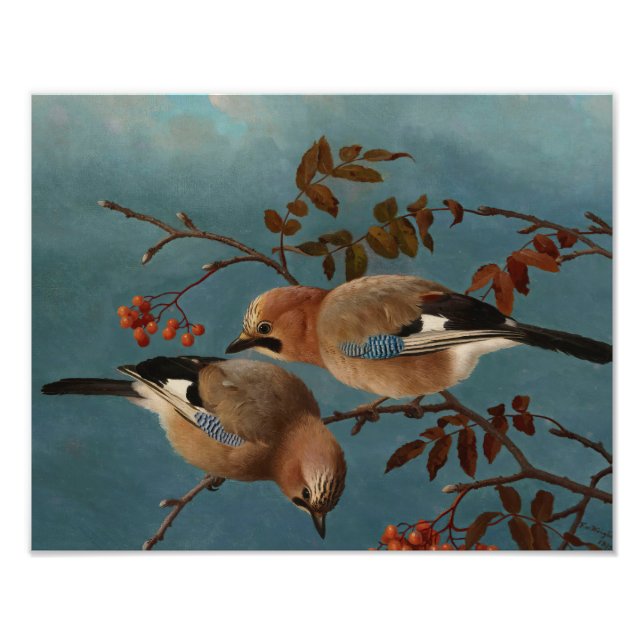 Ferdinand von Wright - Jay Fotodruck (Vorne)