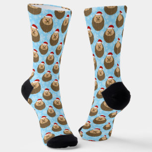 Ferien Igel Niedlich Funny Animal Sounds Socken