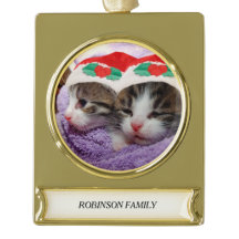 Ferienkätzchen mit roten Weihnachtsmannmützen Fami