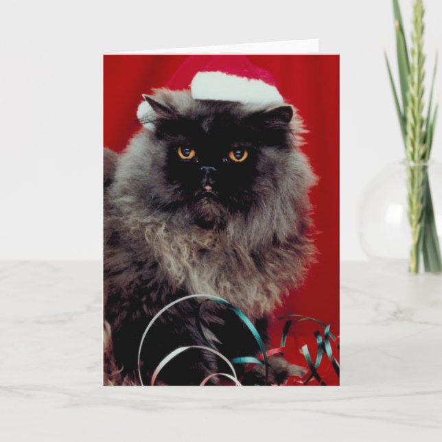 Ferienkatze Feiertagskarte (Vorderseite)